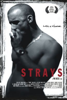 Filme - "Strays"