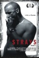 Filme - "Strays"